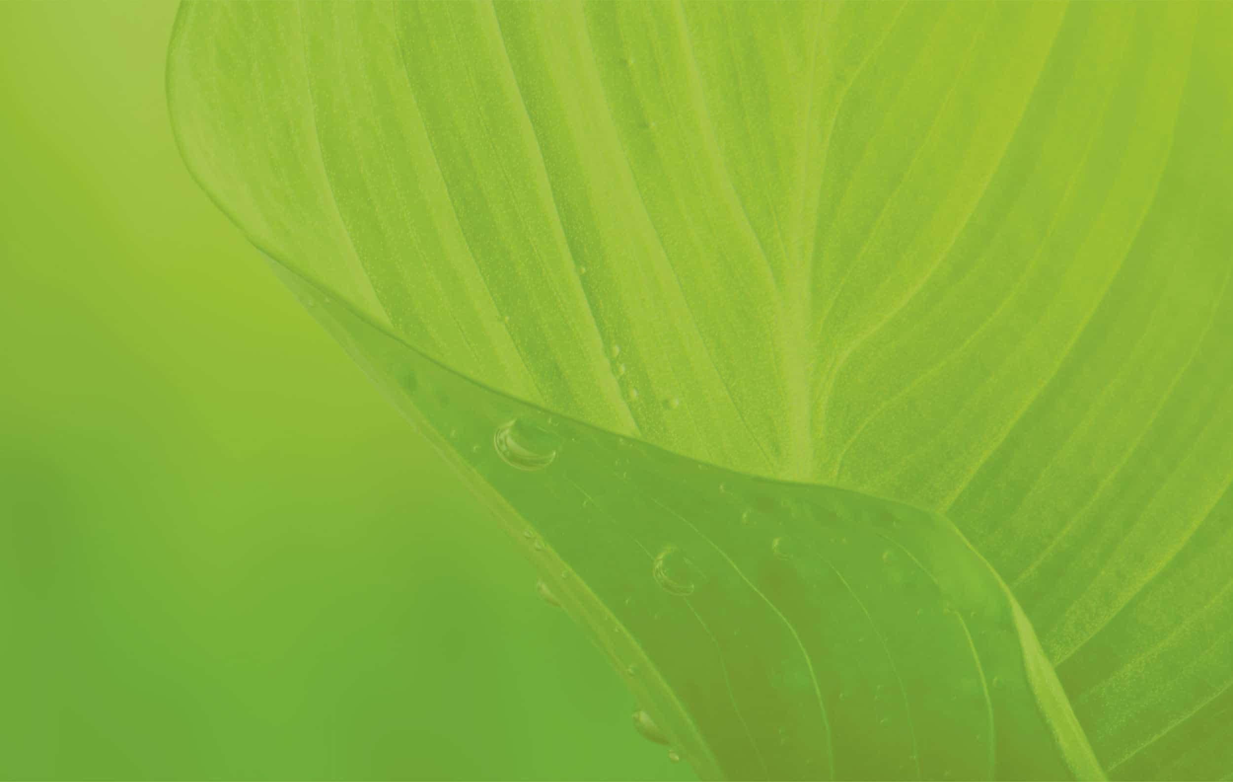 Biolytix eco wastewater